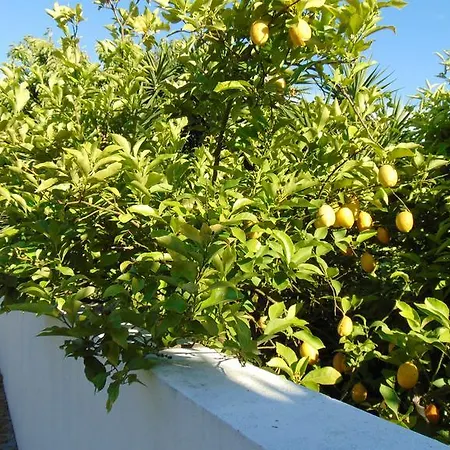 بيت للعطل Casa *