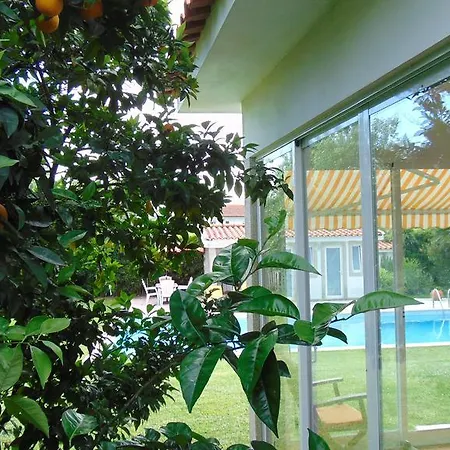 Casa بيت للعطل *