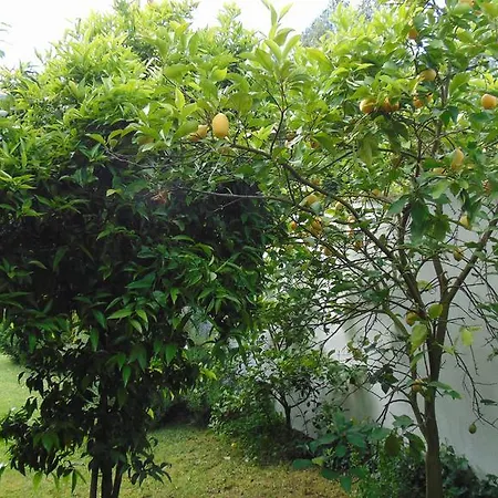 بيت للعطل Casa *